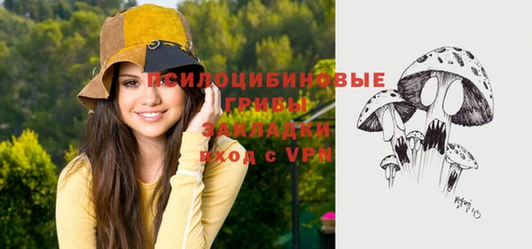 ALPHA PVP Алексеевка