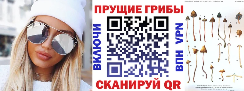 Галлюциногенные грибы GOLDEN TEACHER  Динская 